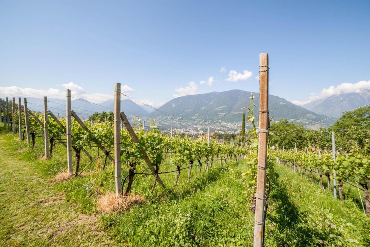 Ferienwohnung Pinot Merano Exterior foto